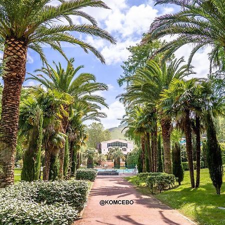 Appartement F2 A Cambo-Les-Bains Avec Piscine, Proche Thermes, Terrasse Et Parking - Fr-1-495-36 Luaran gambar